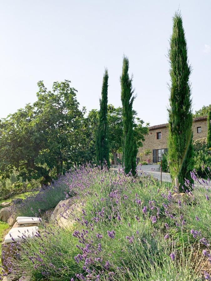 Villa Montanare Cortona Exterior foto