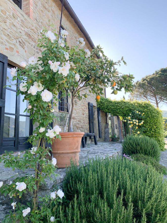Villa Montanare Cortona Exterior foto